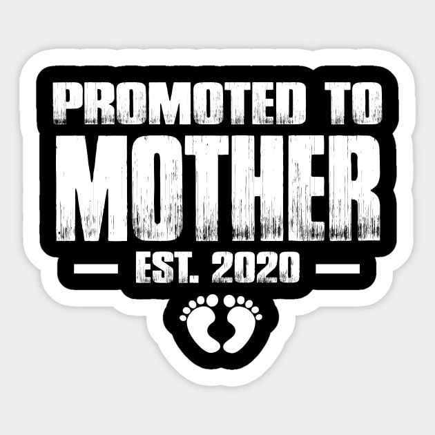 Promoted to Mother 2020 Funny Mother's Day Gift Ideas For New Mom Sticker by smtworld